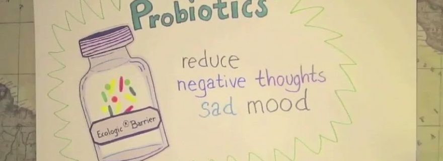 Less focused on recurrent bad feelings through probiotics